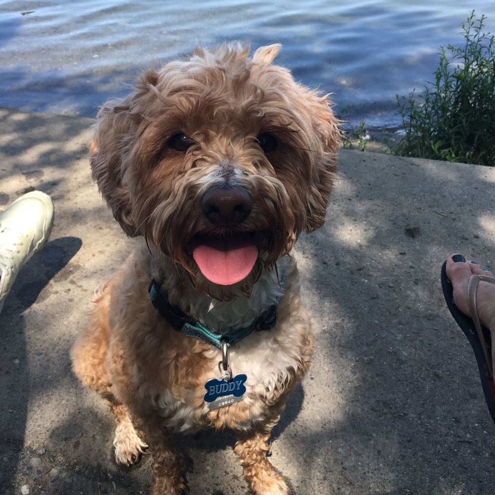 Meet your Posher, Giovanna